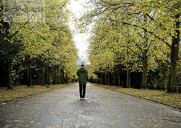 Ältere Frau mit Regenschirm läuft inmitten herbstlicher Bäume auf der Straße