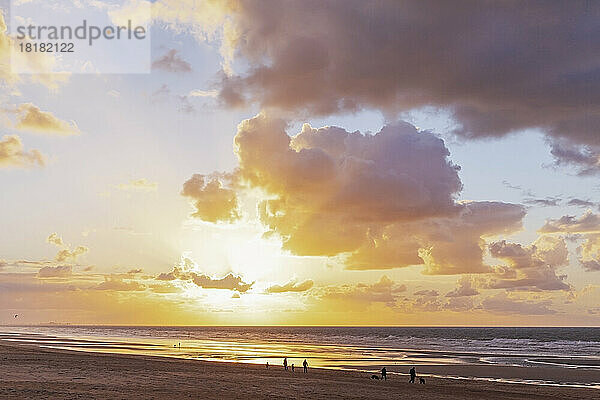 Belgium  West Flanders  Beach at moody sunset