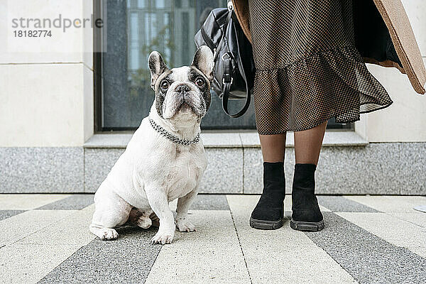 Frau mit französischer Bulldogge sitzt auf Fußweg
