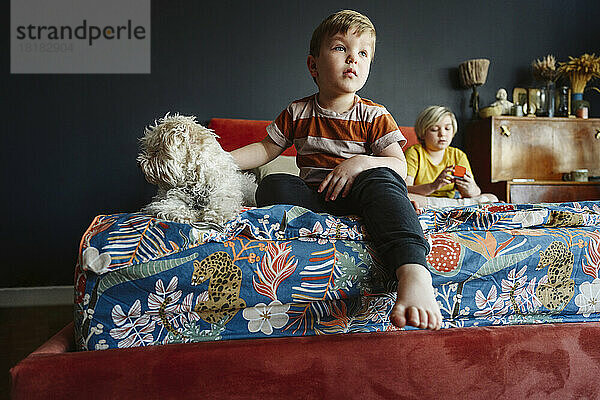 Boy sitting by dog on bed with brother in background at home
