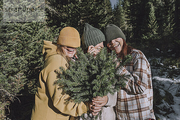 Fröhliche Freunde halten Fichtenzweige in der Hand und bedecken die Augen mit Strickmützen im Wald