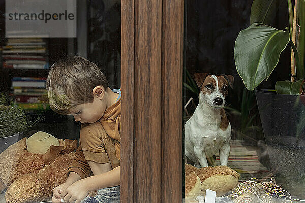 Junge sitzt mit Hund im Haus  gesehen durch Glasfenster