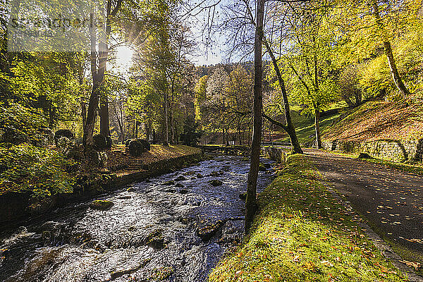 Deutschland  Baden-Württemberg  Bad Wildbad  Fluss Enz fließt an einem sonnigen Herbsttag durch den Schwarzwald