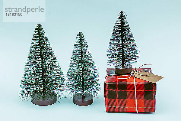 Christmas trees with red gift box against blue background