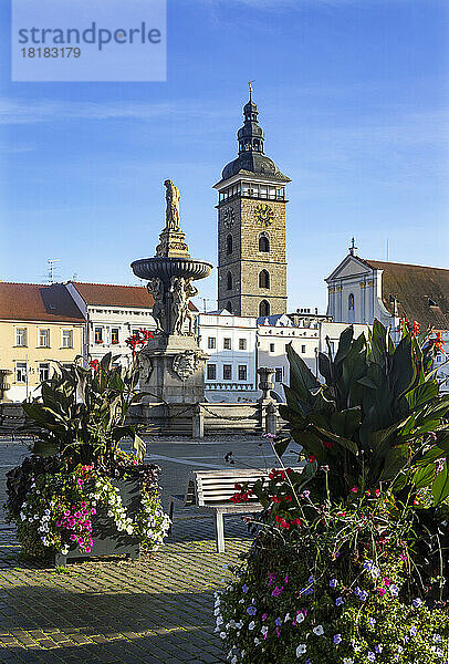 Tschechische Republik  Südböhmische Region  Ceske Budejovice  Samson-Brunnen auf dem Premysl-Otakar-II.-Platz mit dem Schwarzen Turm im Hintergrund