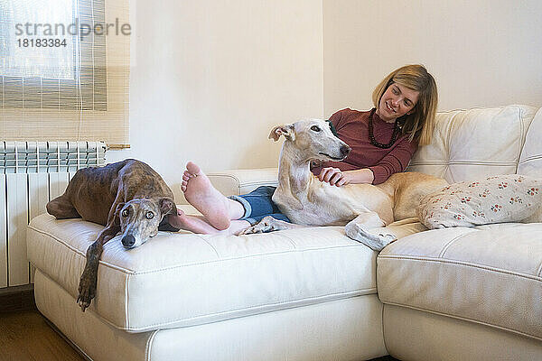 Lächelnde Frau mit spanischen Windhunden sitzt zu Hause im Wohnzimmer
