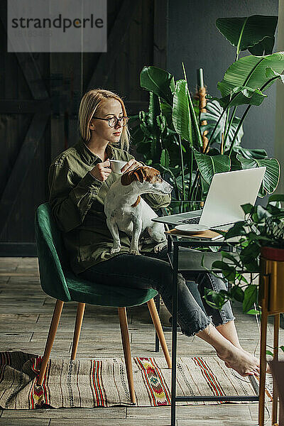 Geschäftsfrau mit Hund sitzt auf Stuhl und schaut im Heimbüro auf Laptop