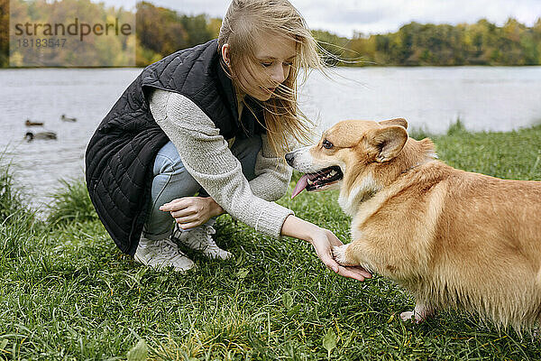 Frau macht Handschlag mit Hund auf Gras am Seeufer