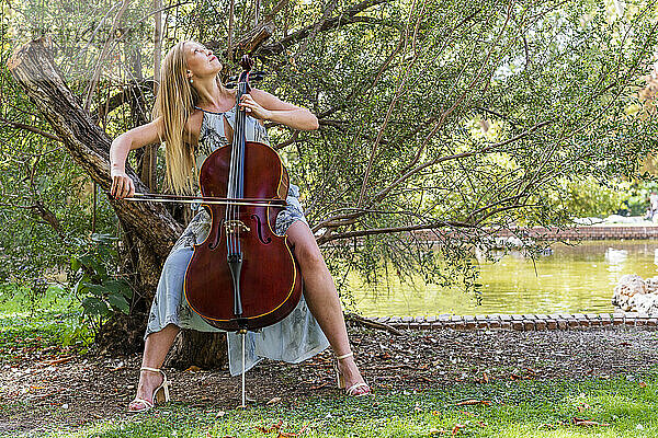 Junge Frau spielt Cello vor einem Baum im Park