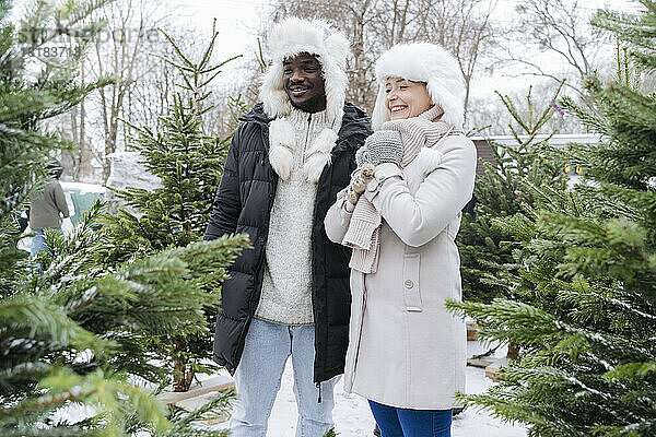 Glückliches Paar kauft Weihnachtsbaum auf dem Markt