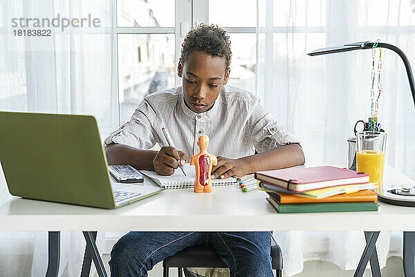 Junge macht Hausaufgaben und sitzt zu Hause am Tisch