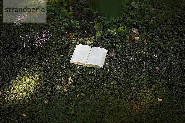 Offenes Buch über grünes Gras im Garten