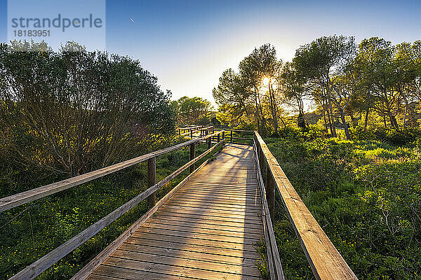 Spanien  Balearen  Menorca  Promenade im Naturpark S'Albufera bei Sonnenuntergang