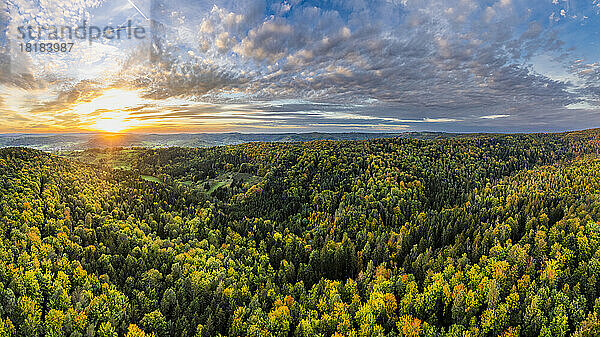 Deutschland  Baden-Württemberg  Drohnenansicht des Wieslauftal-Waldes bei Herbstsonnenuntergang
