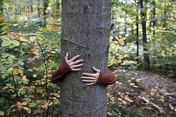 Frau umarmt Baumstamm im Wald