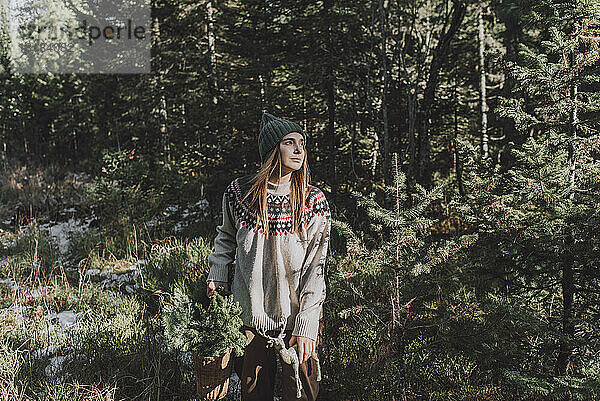 Nachdenkliche Frau mit Korb voller Fichtenzweige im Wald