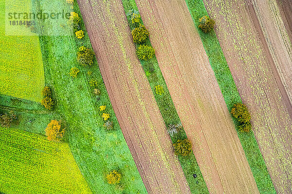 Germany  Baden-Wurttemberg  Drone view of autumn fields in Remstal