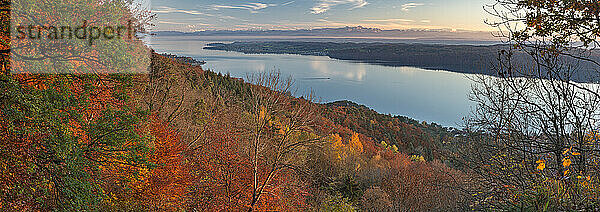 Germany  Baden-Wuerrttemberg  Lake Constance  Sipplingen  autumn forest  Alps and lake