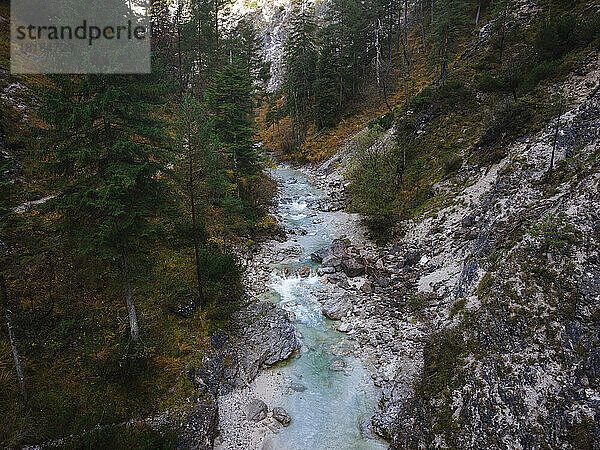 Österreich  Niederösterreich  Annaberg  Drohnenansicht des Otscherbachs  der durch die Otschergraben-Schlucht fließt