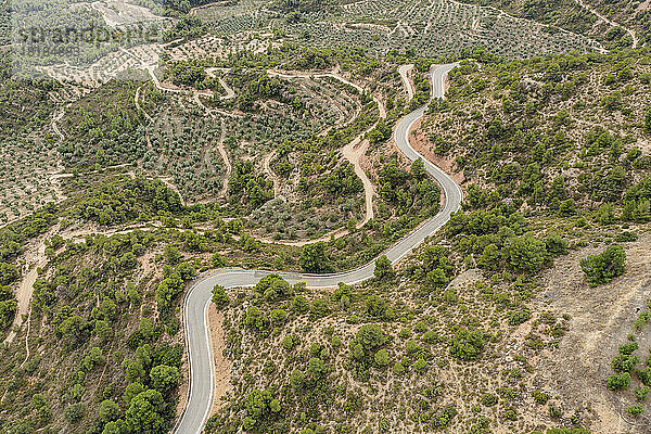 Spanien  Katalonien  Les Garrigues  Luftaufnahme einer kurvenreichen Landstraße