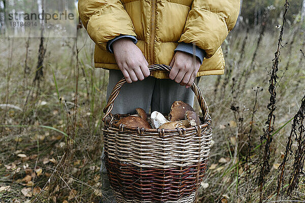 Hände eines Mädchens  das einen Korb voller Pilze im Wald hält