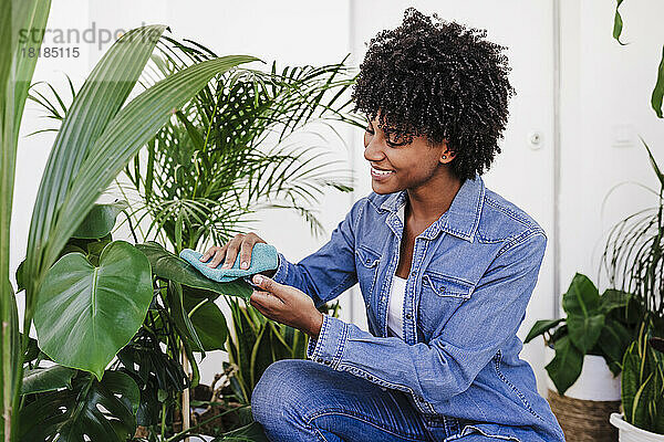Glückliche junge Frau putzt Pflanzen mit Serviette