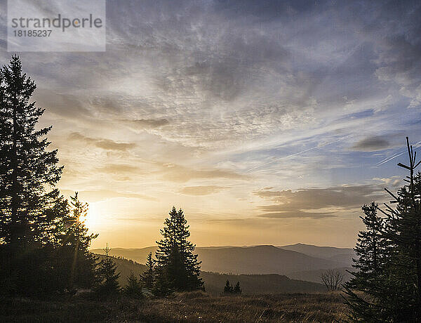 Germany  Bavaria  View of Bavarian Forest at sunrise
