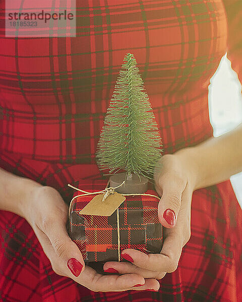 Woman in red dress holding gift with Christmas tree