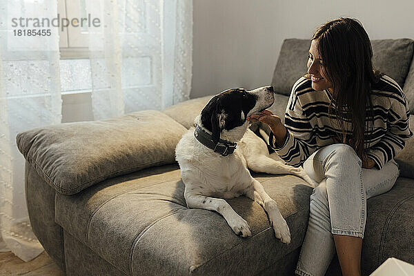 Glückliche Frau streichelt Hund auf Sofa zu Hause