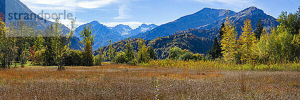 Deutschland  Bayern  Panoramablick auf das Alpenmoor im Herbst