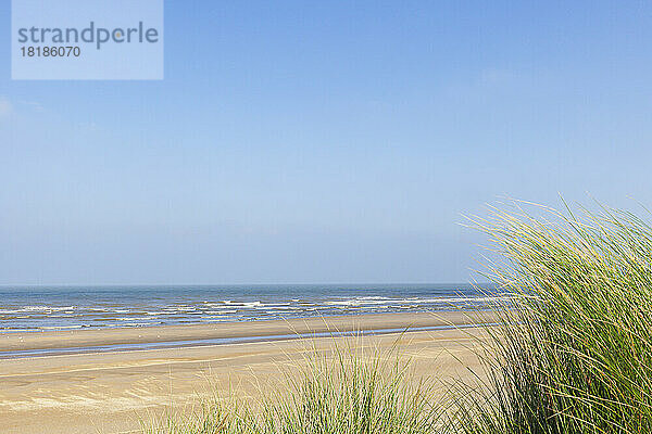 Belgien  Westflandern  Sandstrand mit klarer Horizontlinie über der Nordsee im Hintergrund