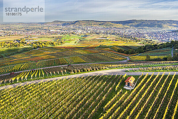 Deutschland  Baden-Württemberg  Drohnenansicht der herbstlichen Weinberge im Remstal mit der Stadt im Hintergrund