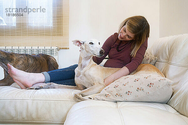 Lächelnde Frau mit spanischen Windhunden sitzt zu Hause auf dem Sofa