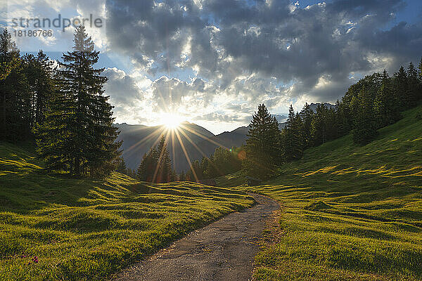 Deutschland  Bayern  Wanderweg in den Alpen bei Sonnenuntergang