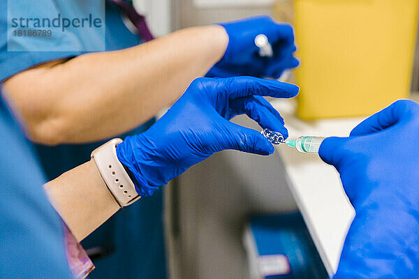 Hände einer Krankenschwester  die im Krankenhaus eine Spritze vorbereitet