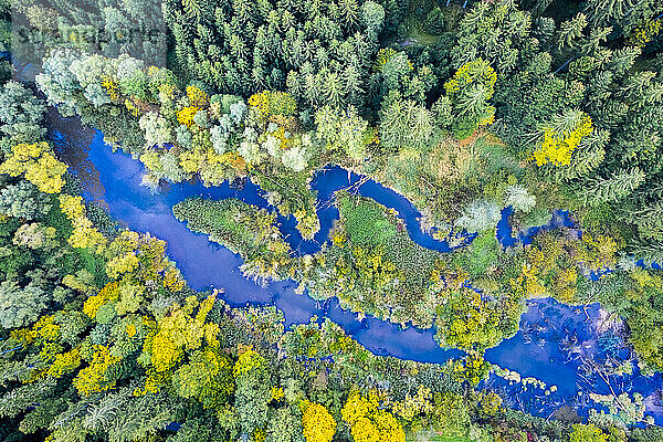 Germany  Baden-Wurttemberg  Drone view of river flowing through Swabian-Franconian Forest