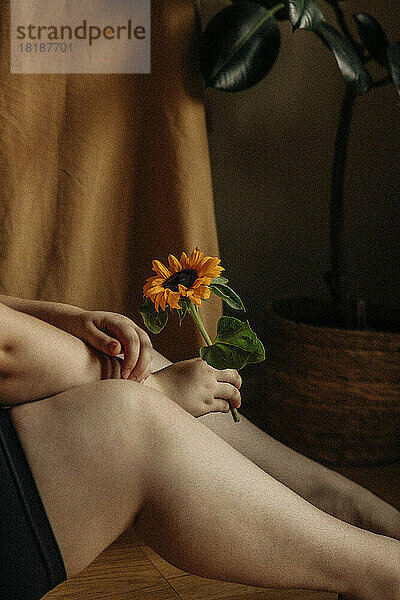 Tiefschnitt einer Frau mit Sonnenblume zu Hause