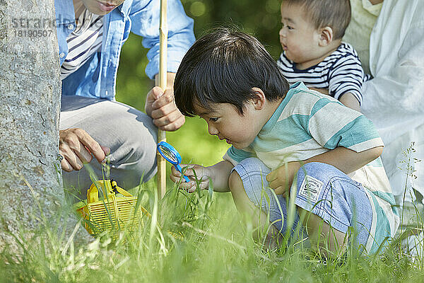 Japanische Familie sammelt Insekten