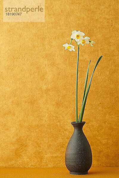 Narcissus and Japanese tableware