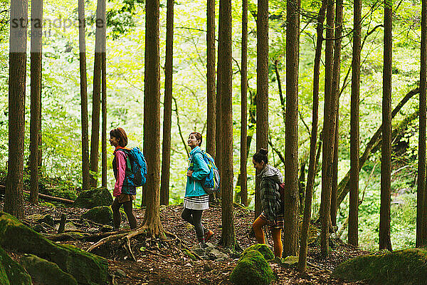 Japanische Frauen beim Trekking