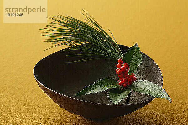 Christmas berries and Japanese tableware