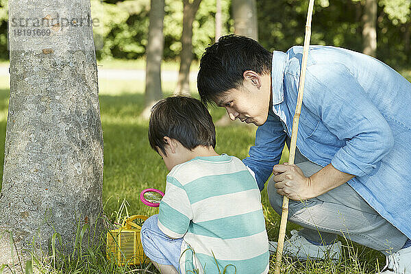 Japanese parent and child collecting insects
