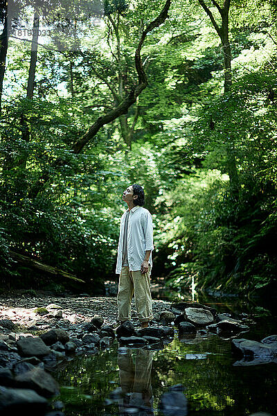 Japaner im Wald