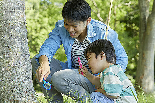 Japanische Eltern und Kinder sammeln Insekten
