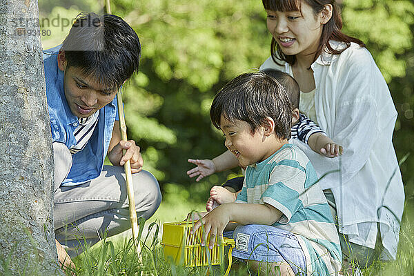 Japanische Familie sammelt Insekten