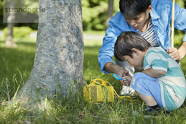 Japanische Eltern und Kinder sammeln Insekten