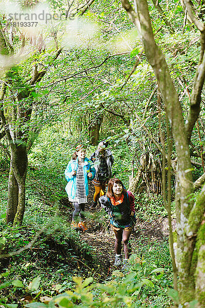 Japanische Frauen beim Trekking