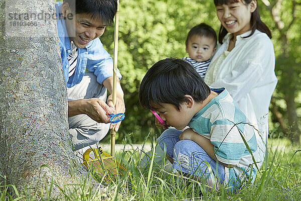 Japanische Familie sammelt Insekten