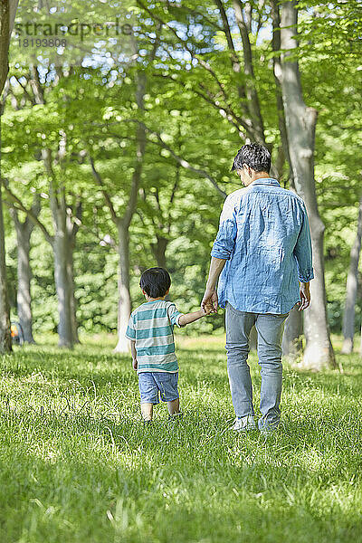 Japanische Eltern und Kinder halten Händchen im frischen Grün