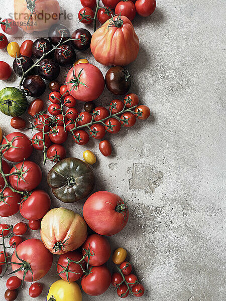 Stilleben Vielfalt von Tomaten auf grauem Hintergrund